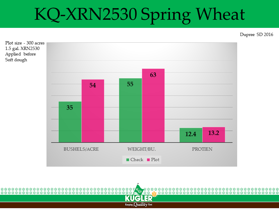 Spring Wheat